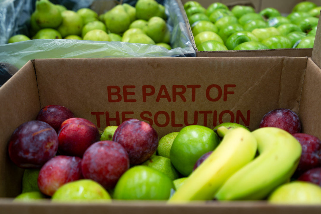 Probono Australia article: A Fresh Start for Former Offenders