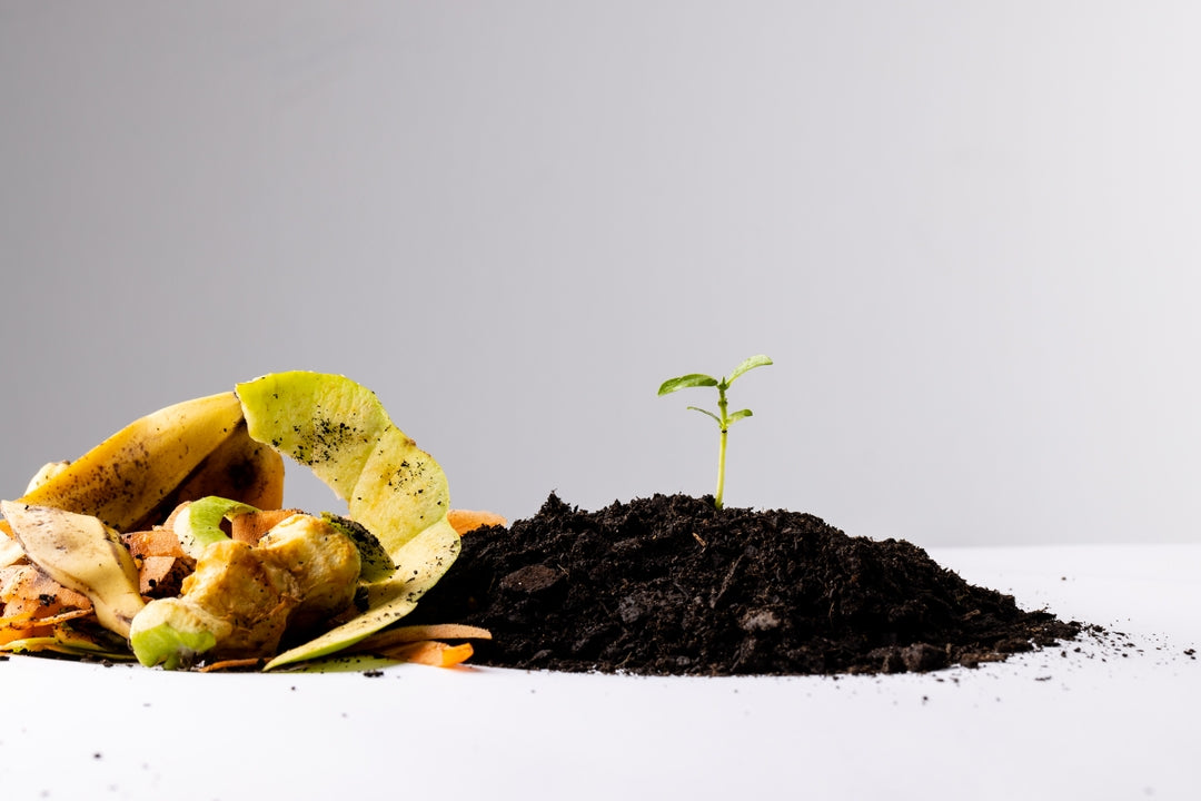 Recycling Fruit Scraps: The Best Ways to Dispose of Your Fruit2Work Scraps
